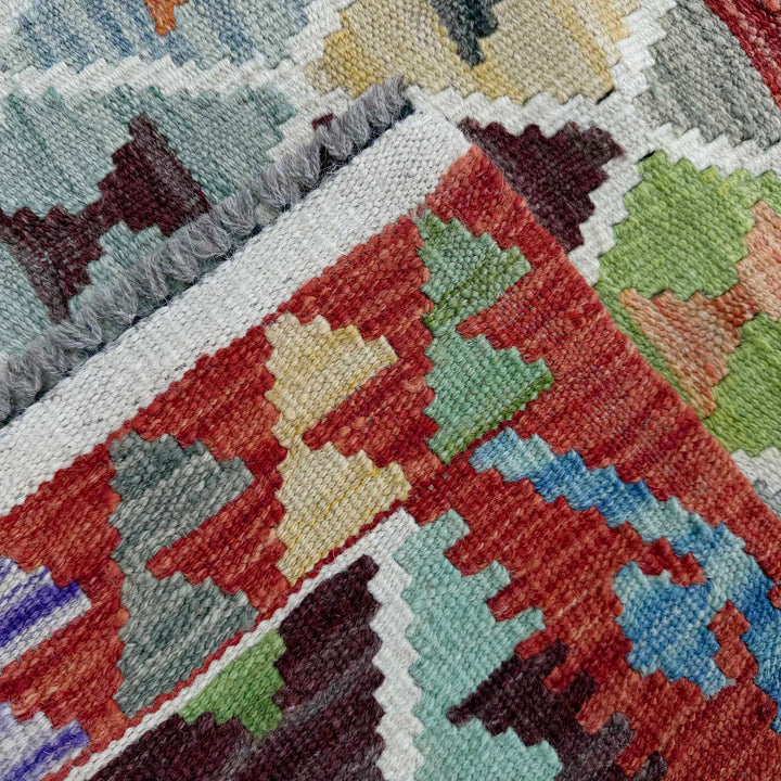 Afghan Vegetable Kilim Rug 2' 9" x 6' 3" Flat-Weave border