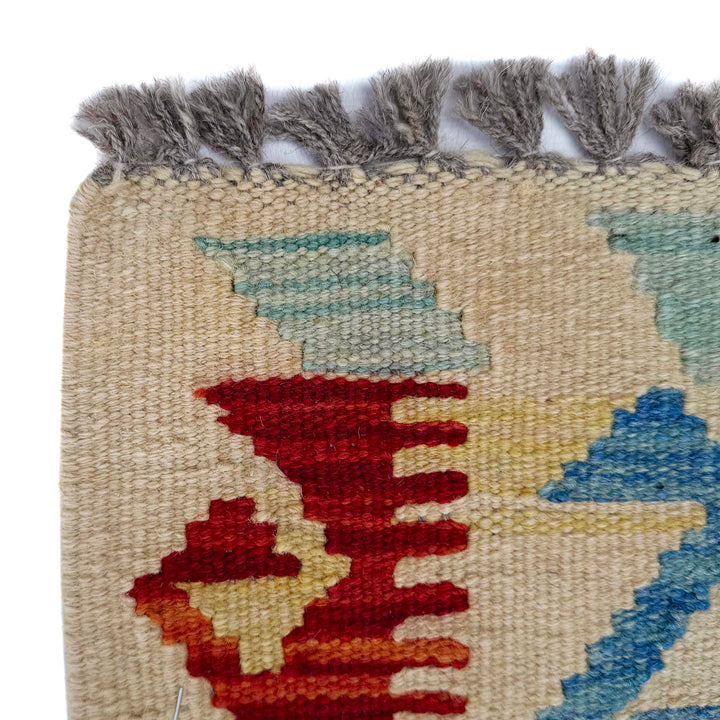 Afghan Vegetable Kilim Rug 2' 6" x 6' 5" Flat-Weave pattern