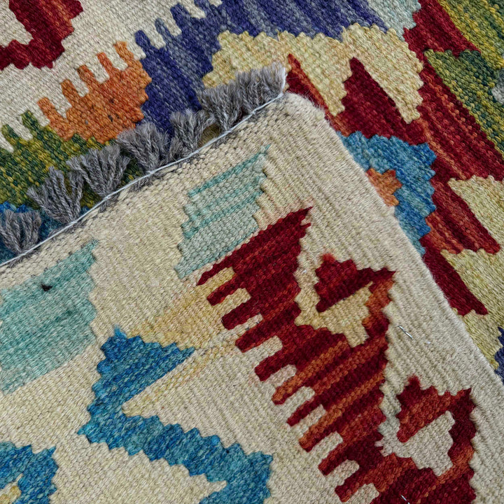 Afghan Vegetable Kilim Rug 2' 6" x 6' 5" Flat-Weave border