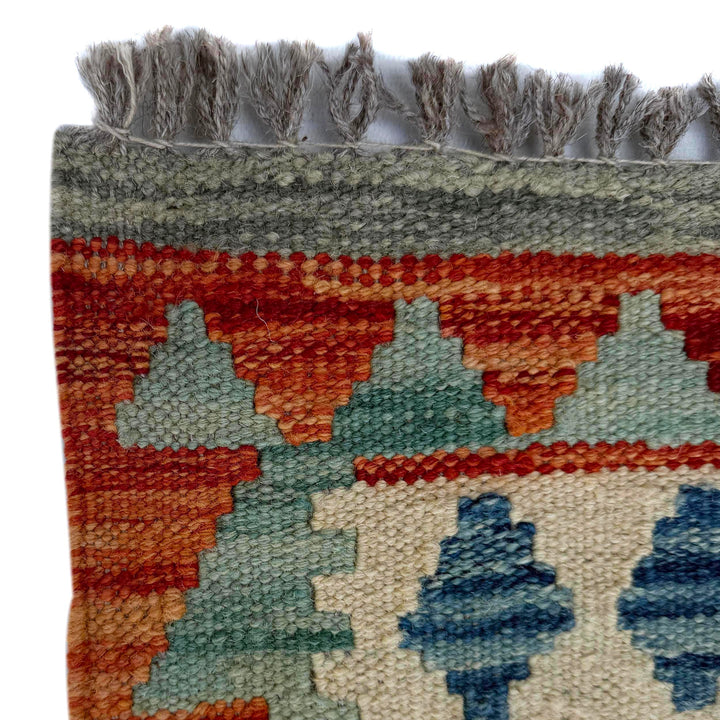 Afghan Vegetable Kilim Rug 2' 6" x 6' 8" Flat-Weave | No. AL57860