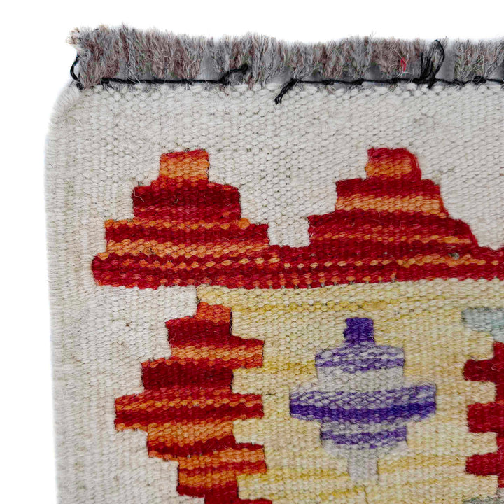 Afghan Vegetable Kilim Rug 2' 6" x 6' 4" Flat-Weave pattern