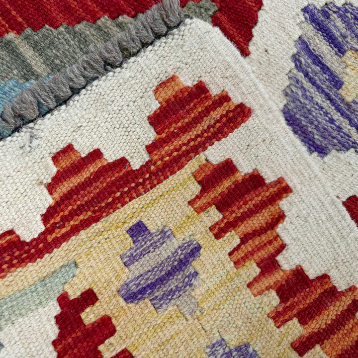 Afghan Vegetable Kilim Rug 2' 6" x 6' 4" Flat-Weave border
