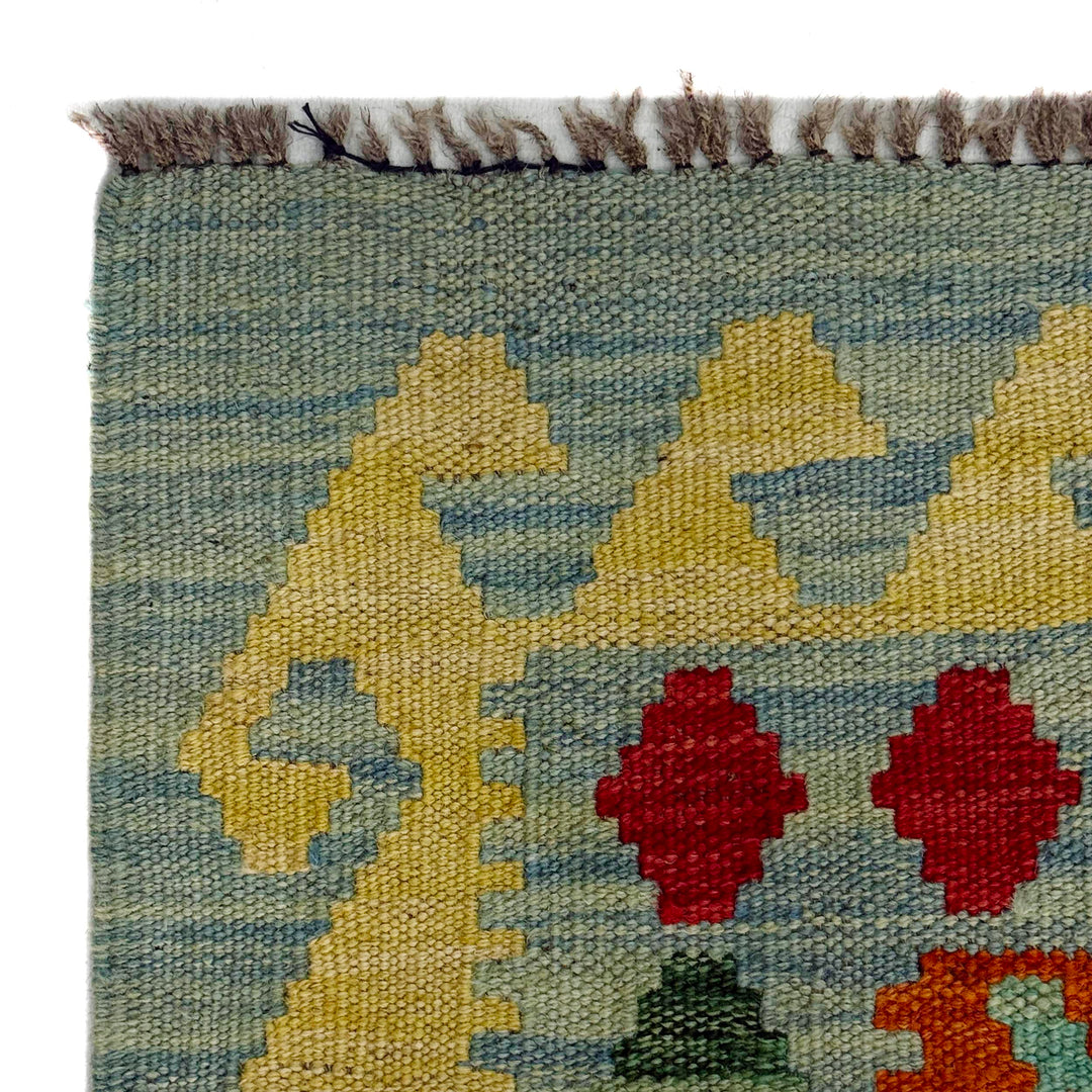 Afghan Vegetable Kilim Rug 2'7" x 4'5" Flat-Weave pattern