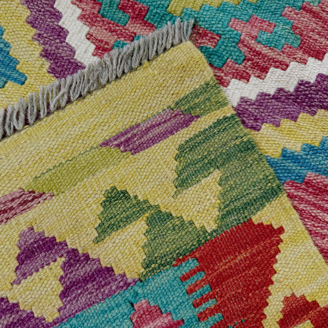 Afghan Vegetable Kilim Rug 2' 7" x 9' 9" Flat-Weave border