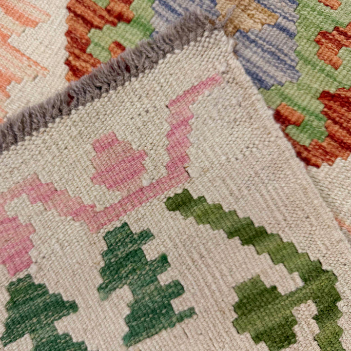 Afghan Vegetable Kilim Rug 2' 7" x 4' 1" Flat-Weave border