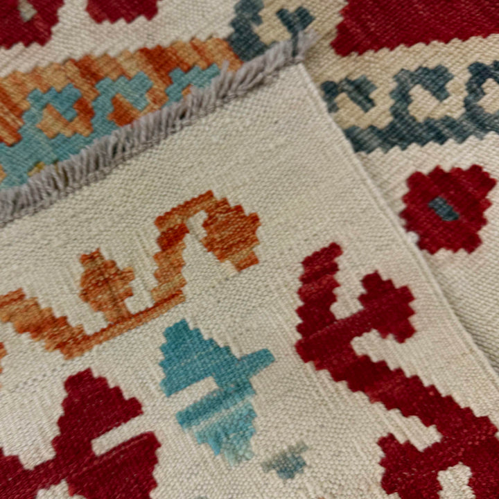 Afghan Vegetable Kilim Rug 2'7" x 4'0" Flat-Weave border
