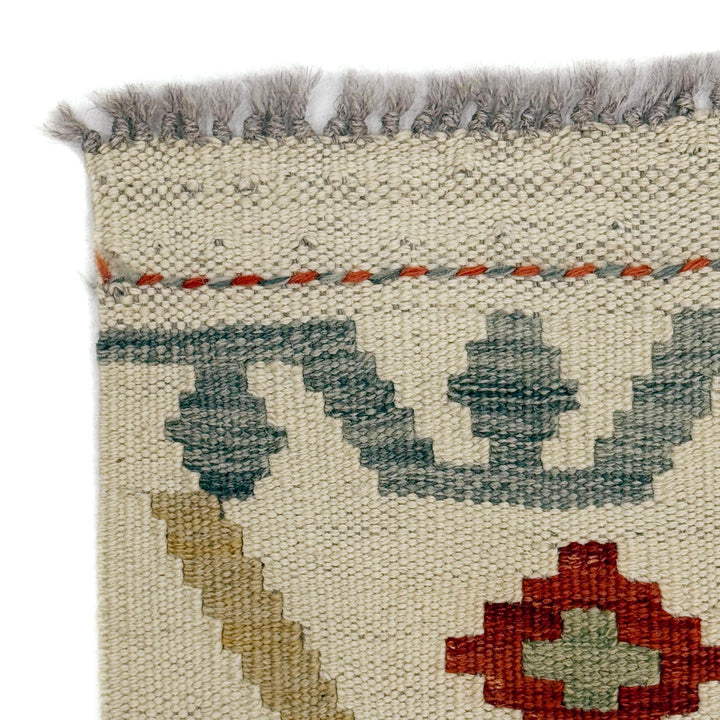 Afghan Vegetable Kilim Rug 2' 9" x 4' 2" Flat-Weave pattern