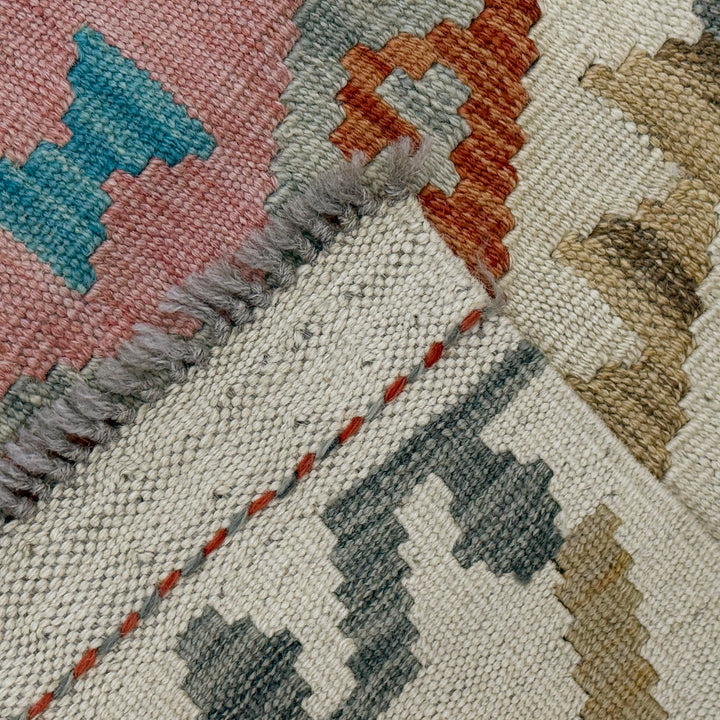 Afghan Vegetable Kilim Rug 2' 9" x 4' 2" Flat-Weave border