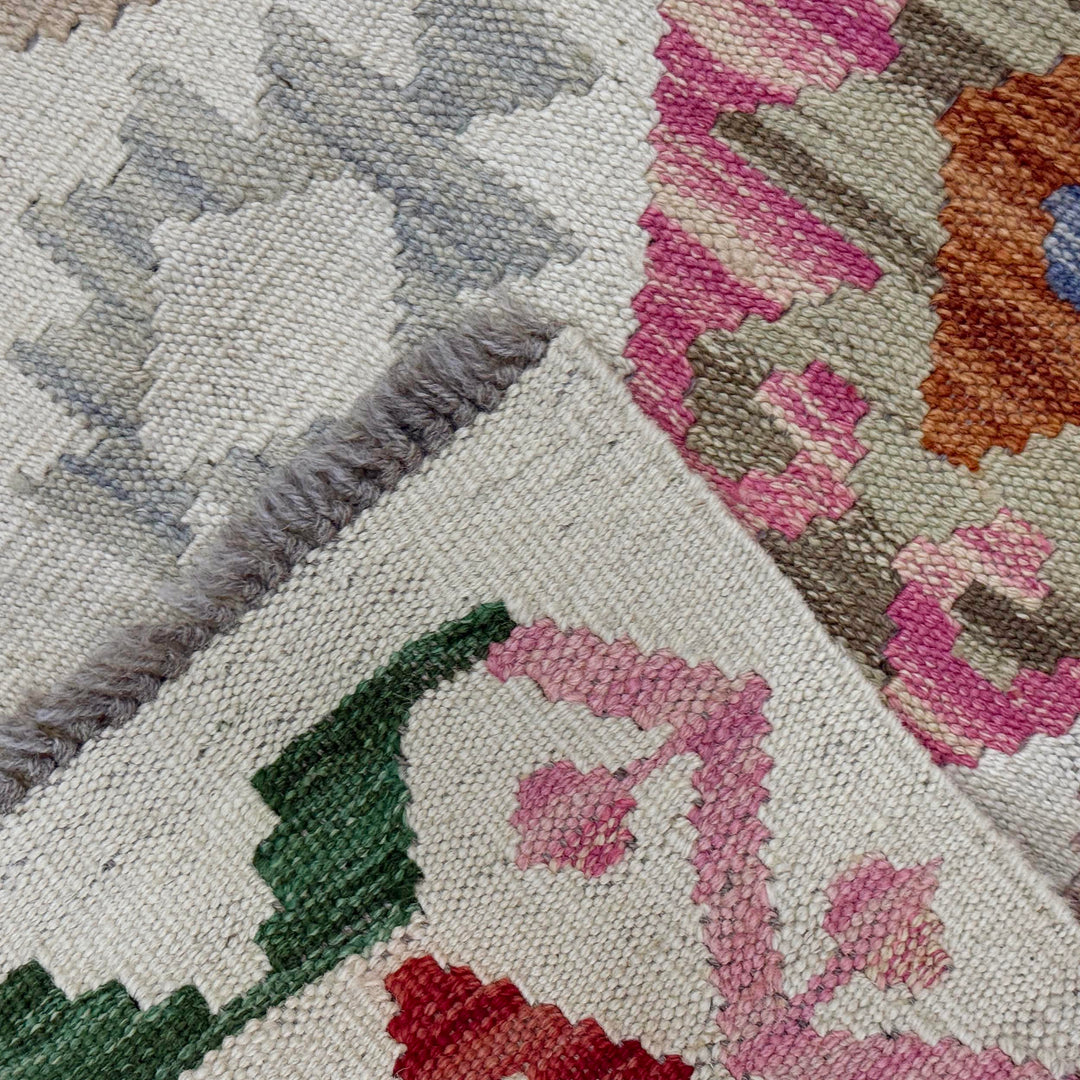 Afghan Kilim Rug 2'7" x 4'2" Flat-Weave border