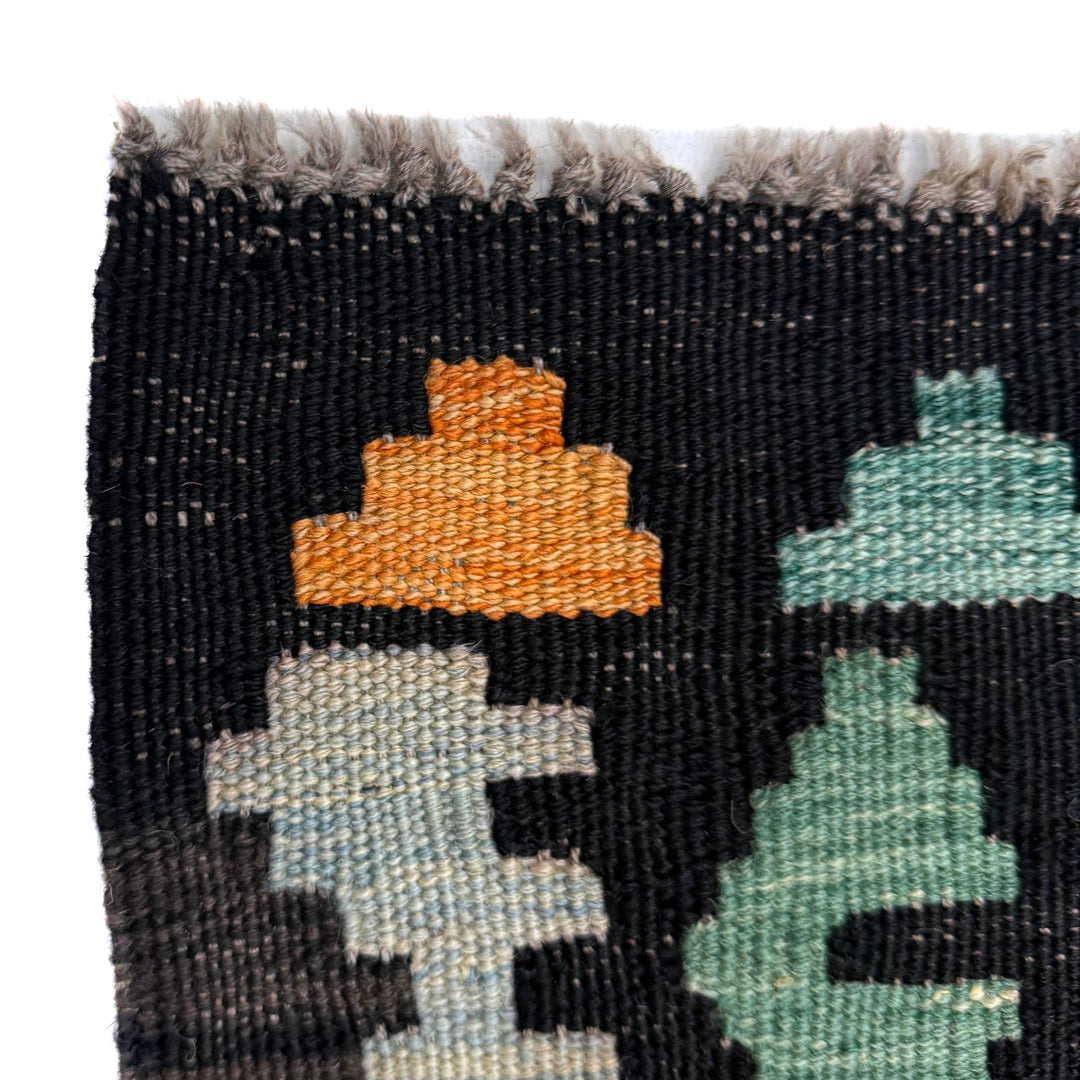 Afghan Vegetable Kilim Rug 2' 8" x 4' 2" Flat-Weave pattern