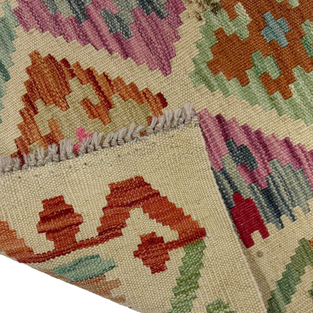 Afghan Vegetable Kilim Rug 1' 10" x 5' 9" Flat-Weave border