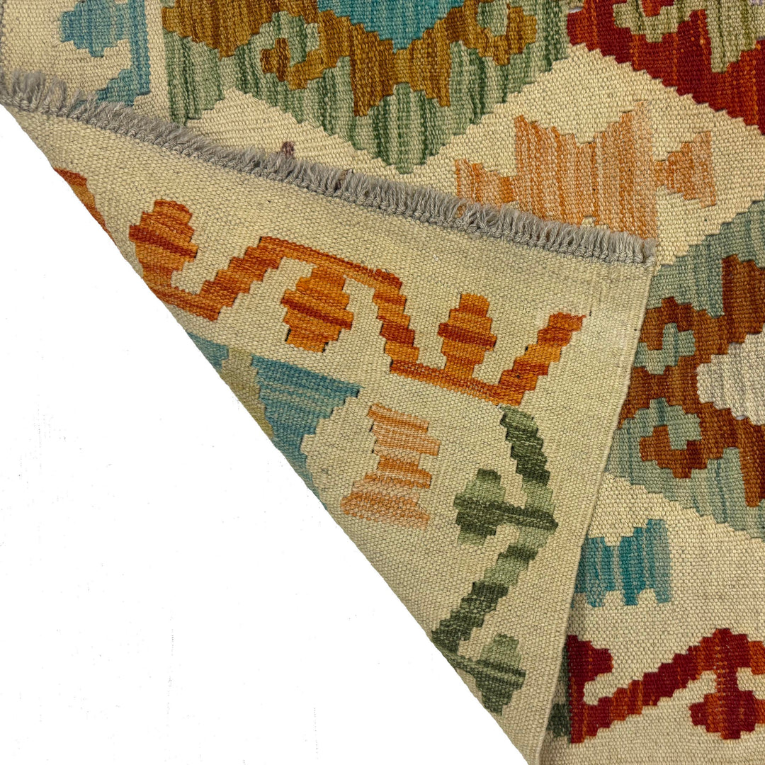 Afghan Vegetable Kilim Rug 2' 7" x 9' 6" Flat-Weave border