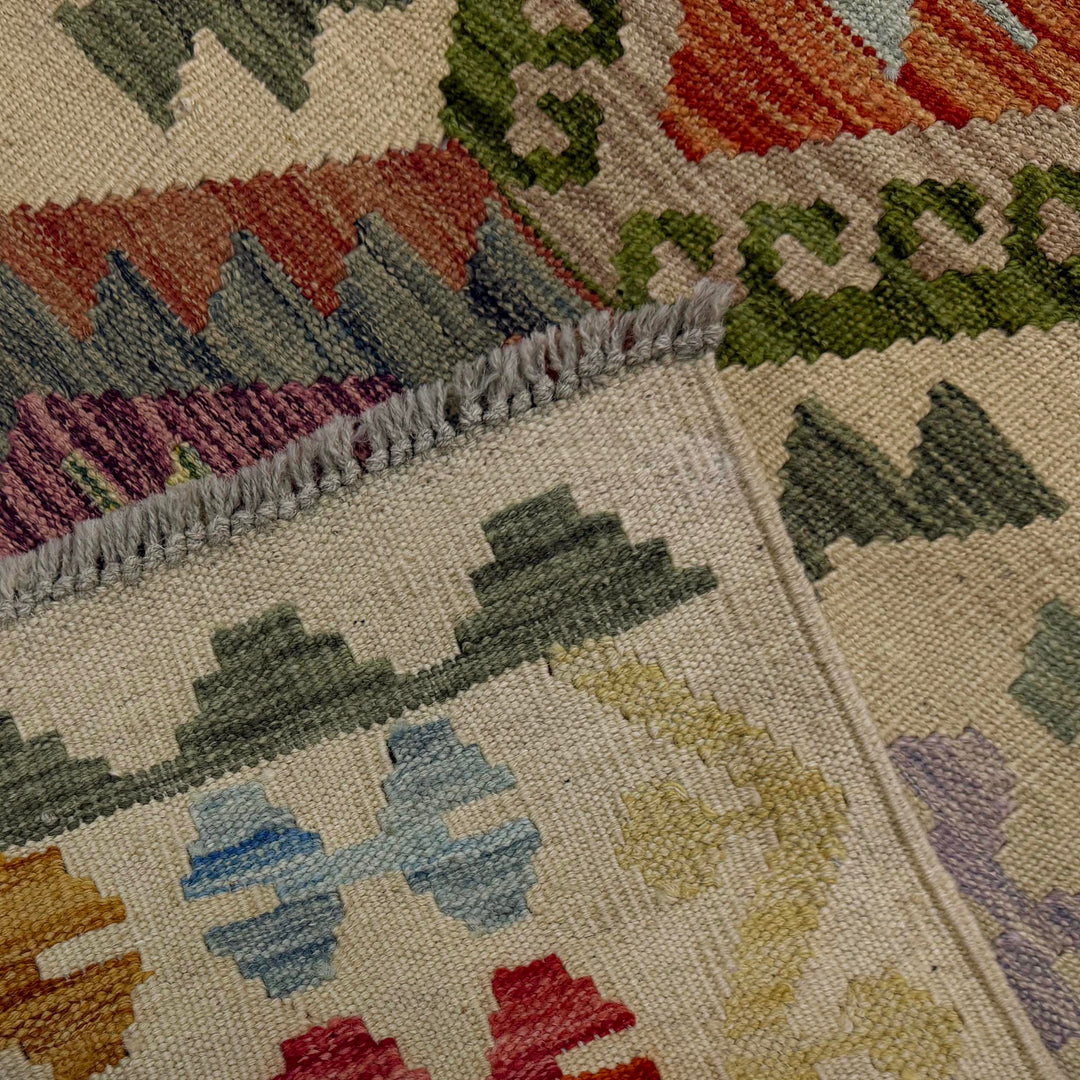 Afghan Vegetable Kilim Rug 2' 7" x 9' 9" Flat-Weave border