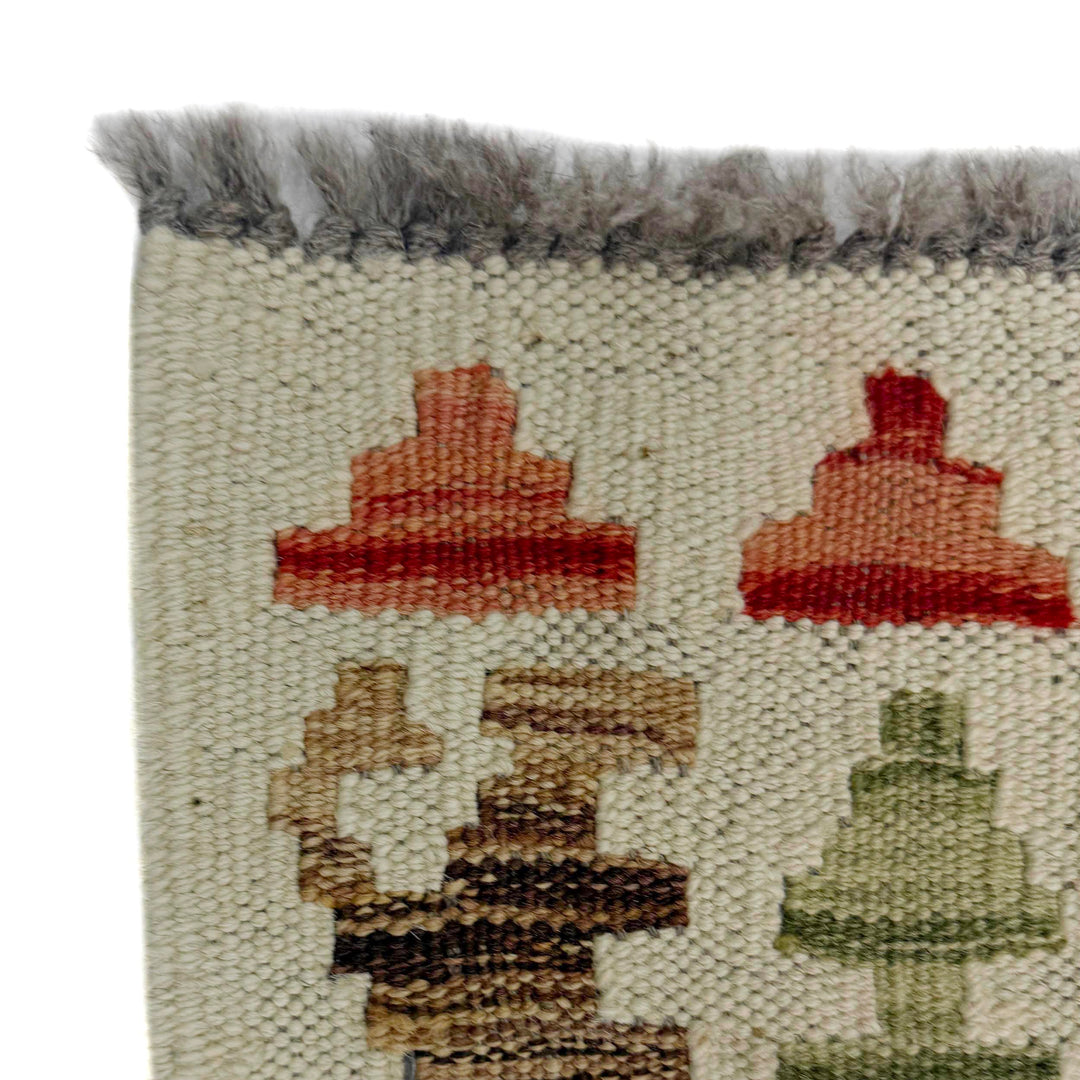 Afghan Vegetable Kilim Rug 2' 6" x 6' 9" Flat-Weave pattern