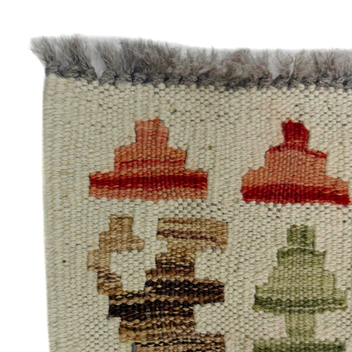 Afghan Vegetable Kilim Rug 2' 6" x 6' 9" Flat-Weave pattern