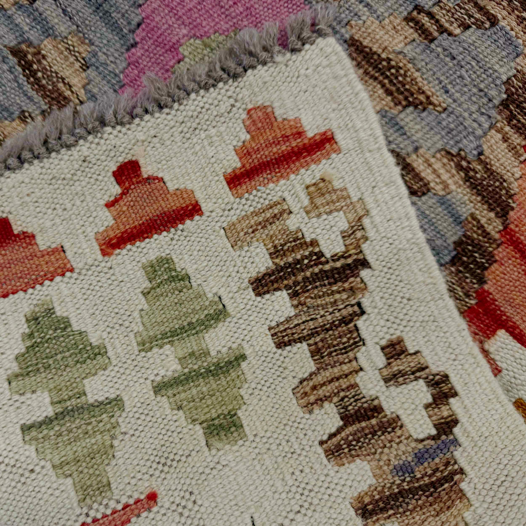 Afghan Vegetable Kilim Rug 2' 6" x 6' 9" Flat-Weave border