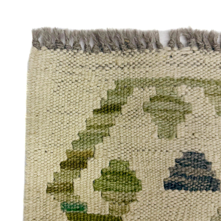 Afghan Kilim Rug 2' 7" x 7' 9" Flat-Weave | No. AL68230