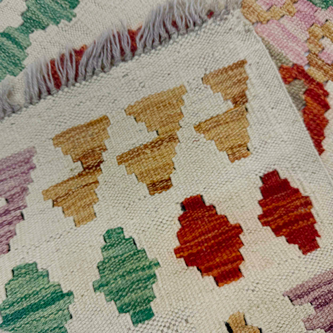 Afghan Vegetable Kelim Runner 2' 2" x 6' 4" Flat-Weave border