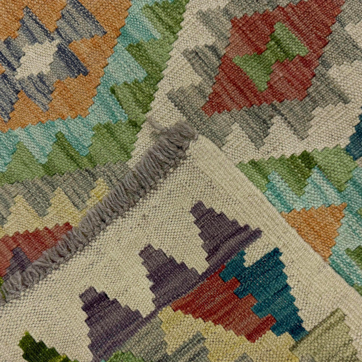 Afghan Vegetable Kilim Rug 2' 7" x 9' 11" Flat-Weave border