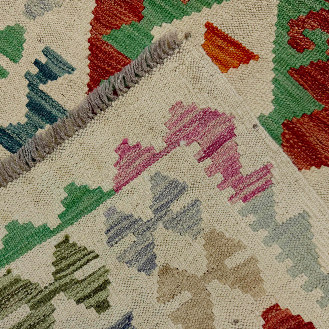 Afghan Vegetable Kilim Rug 2' 7" x 9' 9" Flat-Weave border