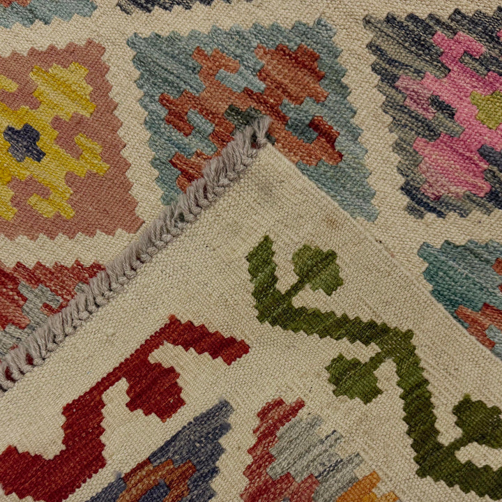Afghan Vegetable Kilim Rug 2' 8" x 9' 5" Flat-Weave border