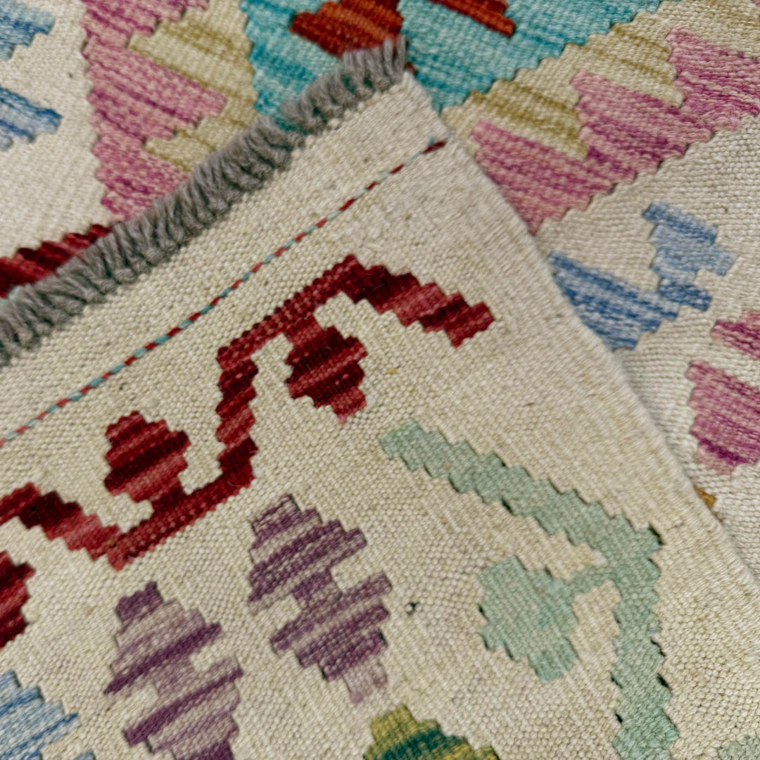 Afghan Vegetable Kilim Runner 2' 8" x 9' 9" Flat-Weave border