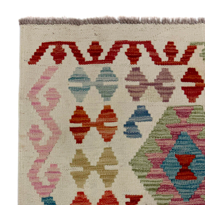 Afghan Vegetable Kilim Rug 2' 9" x 9' 7" Flat-Weave pattern