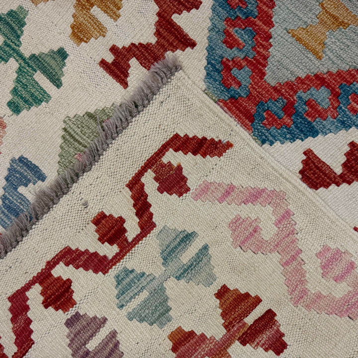 Afghan Vegetable Kilim Rug 2' 9" x 9' 7" Flat-Weave border