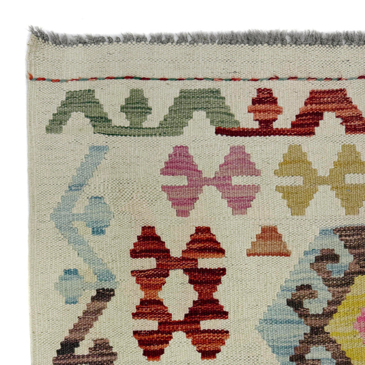 Afghan Vegetable Kilim Rug 2' 9" x 9' 7" Flat-Weave pattern