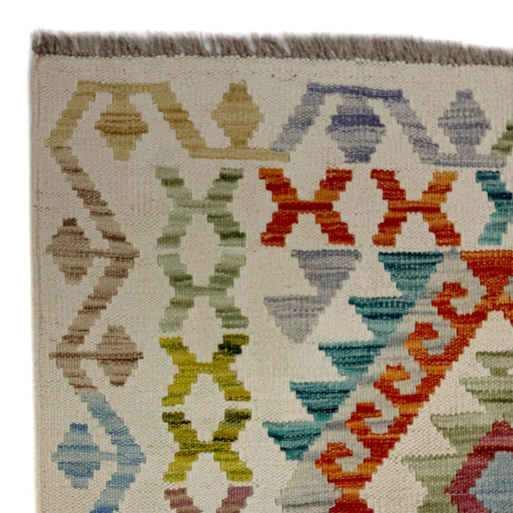 Afghan Vegetable Kilim Rug 2' 9" x 9' 8" Flat-Weave pattern