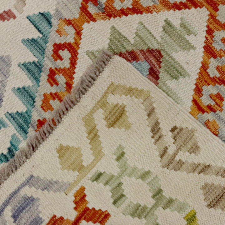 Afghan Vegetable Kilim Rug 2' 9" x 9' 8" Flat-Weave border
