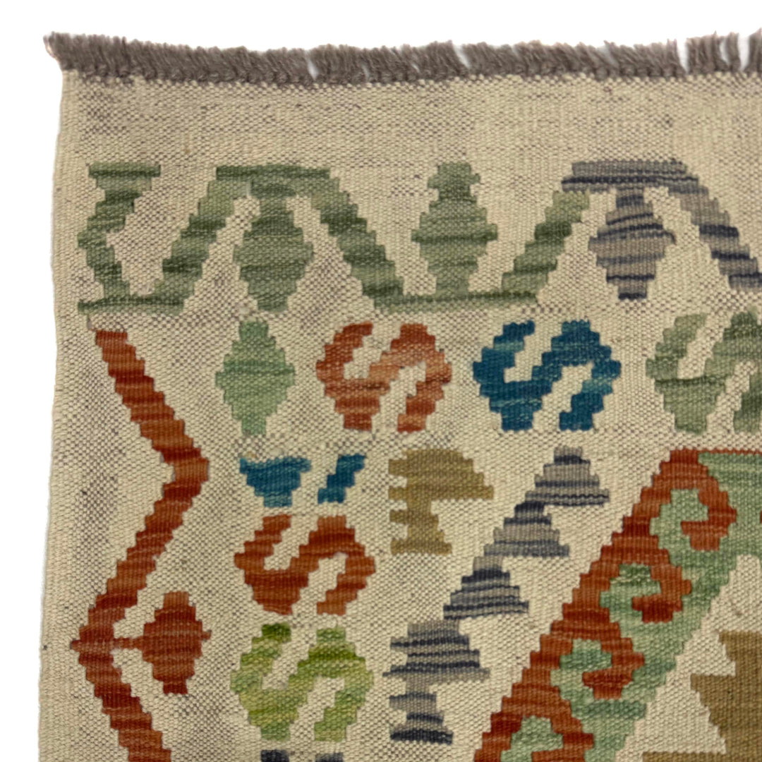 Afghan Vegetable Kilim Rug 2' 9" x 9' 10" Flat-Weave pattern