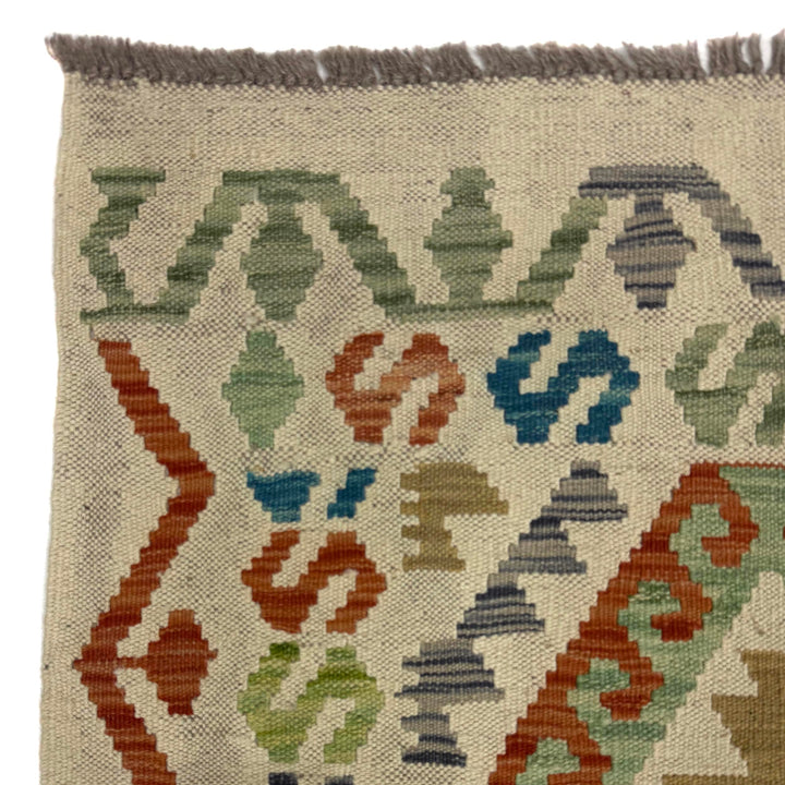 Afghan Vegetable Kilim Rug 2' 9" x 9' 10" Flat-Weave pattern