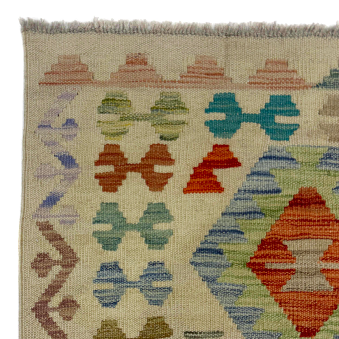 Afghan Vegetable Kilim Rug 2' 7" x 9' 11" Flat-Weave pattern