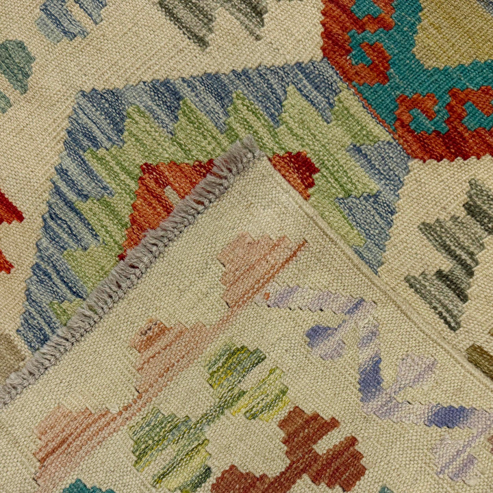 Afghan Vegetable Kilim Rug 2' 7" x 9' 11" Flat-Weave border