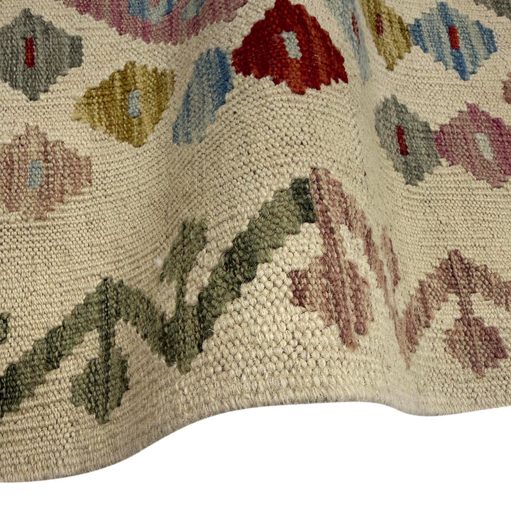 Afghan Vegetable Kilim Rug 2' 8" x 9' 9" Flat-Weave field