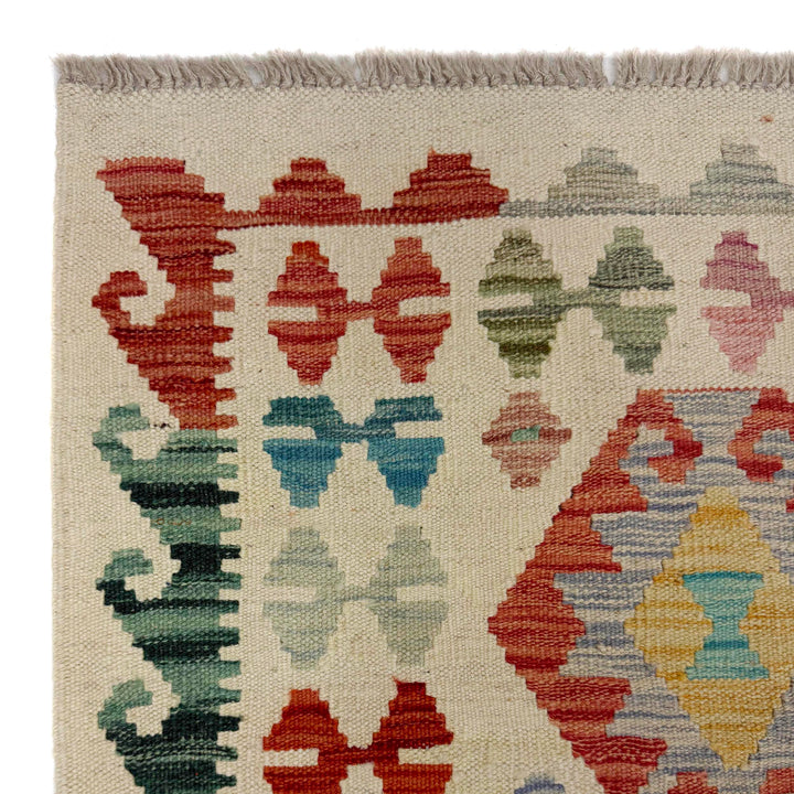 Afghan Vegetable Kilim Rug 2' 7" x 9' 9" Flat-Weave pattern