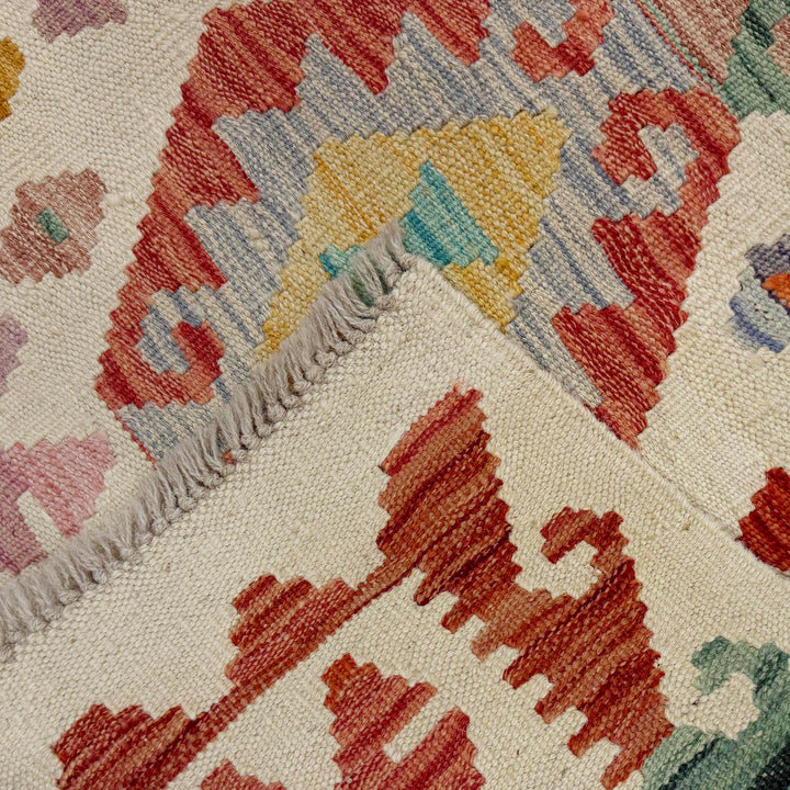 Afghan Vegetable Kilim Rug 2' 7" x 9' 9" Flat-Weave border