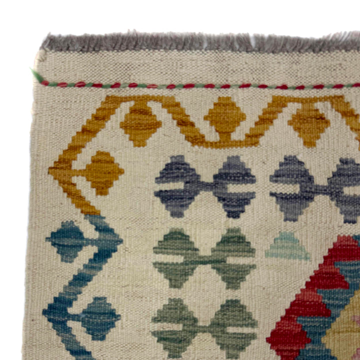 Afghan Vegetable Kilim Rug 2' 8" x 9' 4" Flat-Weave pattern