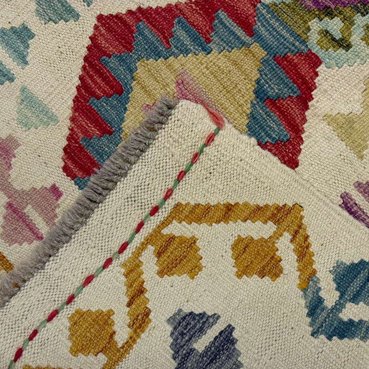 Afghan Vegetable Kilim Rug 2' 8" x 9' 4" Flat-Weave border
