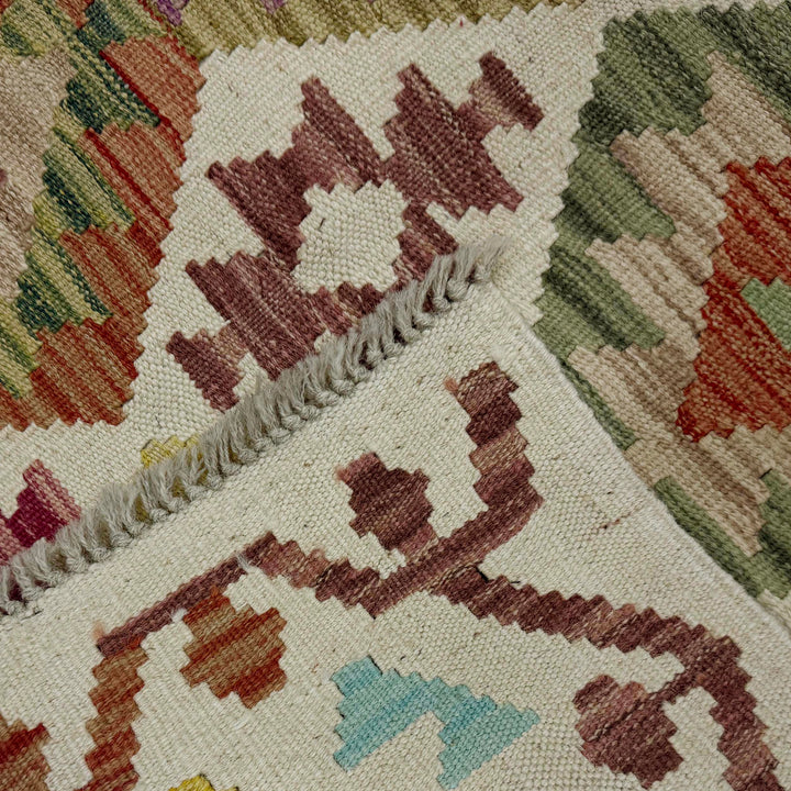 Afghan Vegetable Kilim Rug 2' 7" x 9' 9" Flat-Weave border