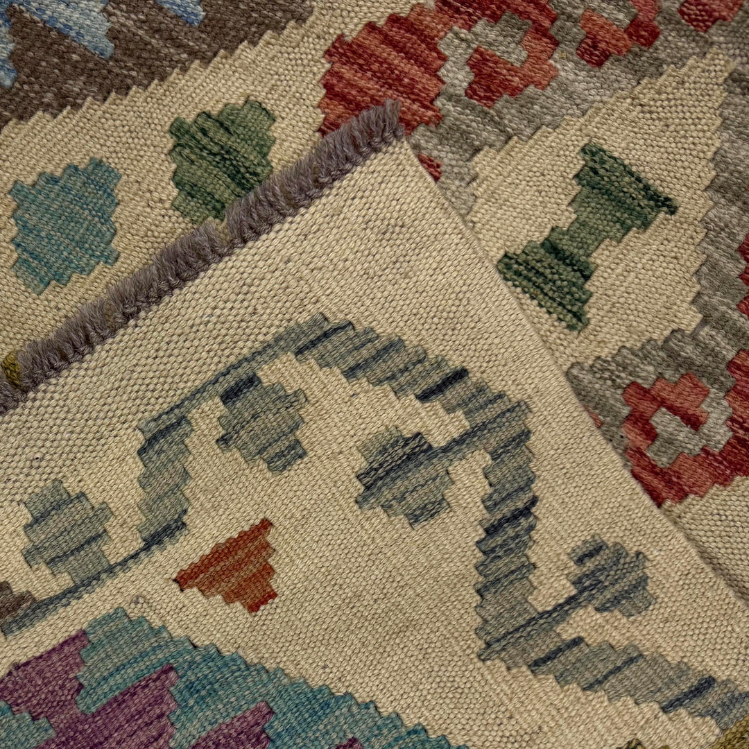 Afghan Vegetable Kilim Rug 2' 7" x 9' 8" Flat-Weave border