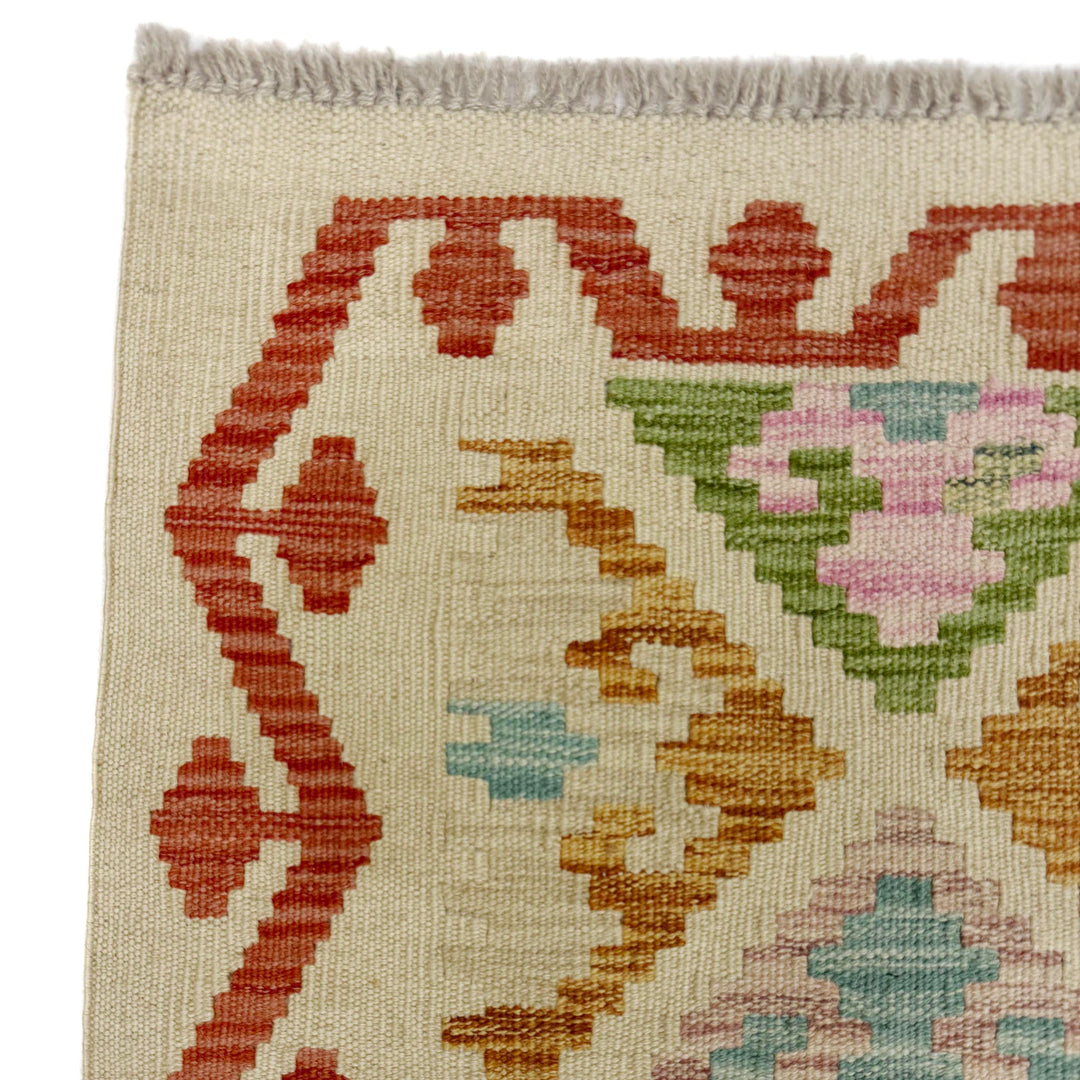 Afghan Vegetable Kilim Rug 2' 9" x 9' 6" Flat-Weave pattern