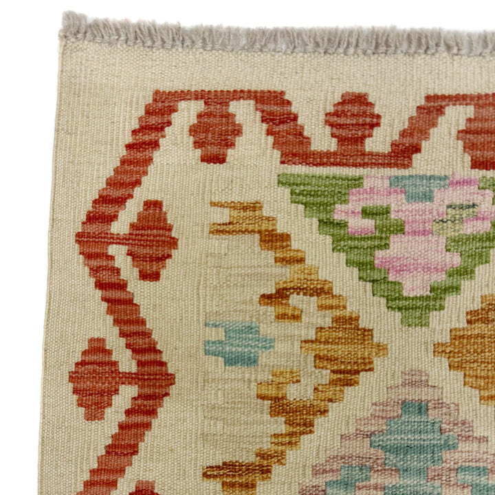 Afghan Vegetable Kilim Rug 2' 9" x 9' 6" Flat-Weave pattern