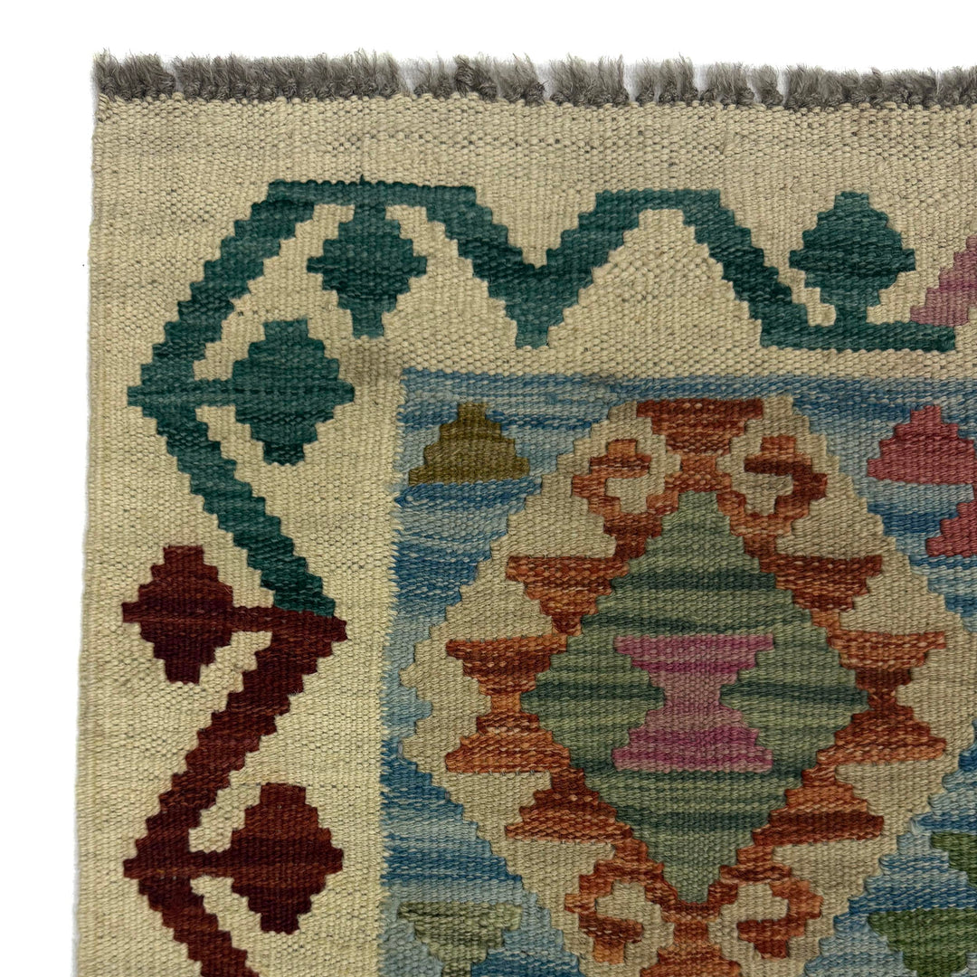 Afghan Vegetable Kilim Rug 2' 6" x 10' 2" Flat-Weave pattern