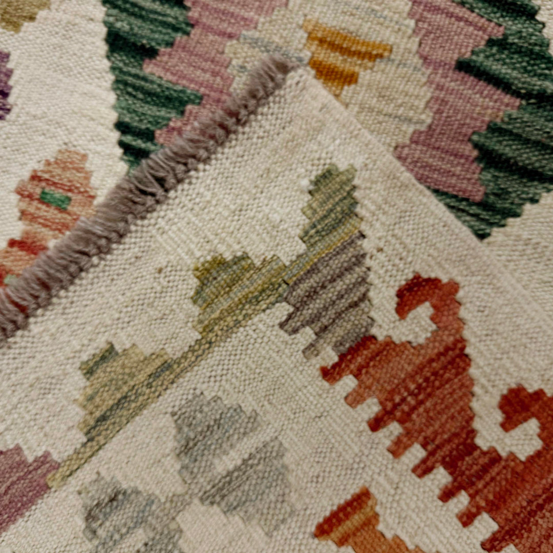 Afghan Vegetable Kilim Rug 2' 7" x 9' 8" Flat-Weave border