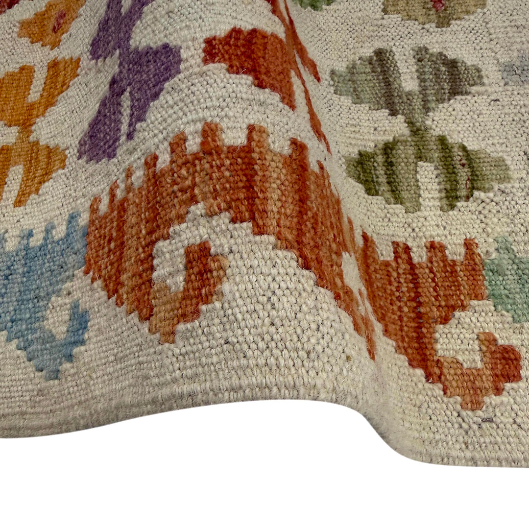Afghan Vegetable Kilim Rug 2' 8" x 9' 8" Flat-Weave field