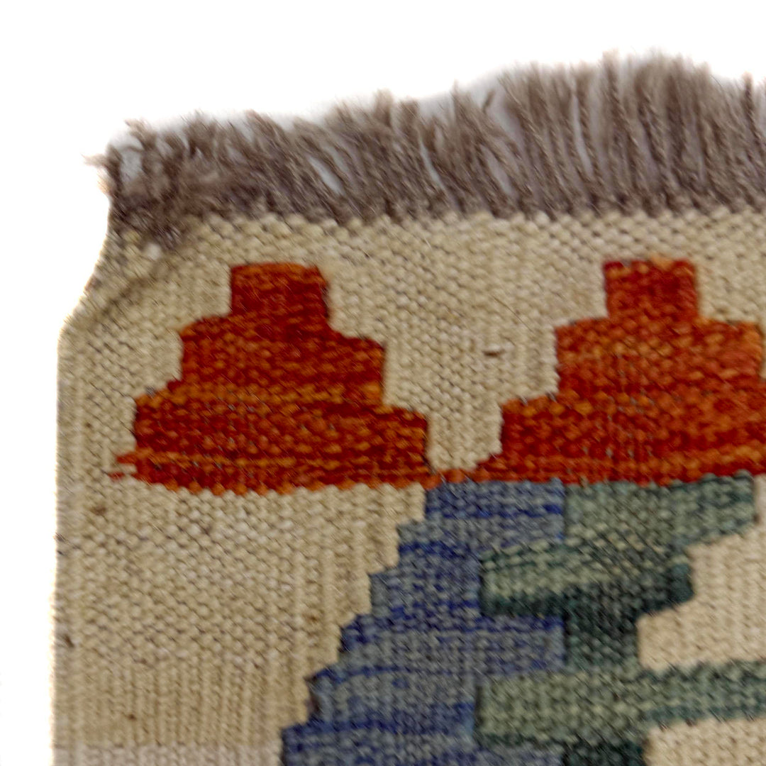 Afghan Vegetable Kilim Rug 5' 0" x 6' 4" Flat-Weave pattern