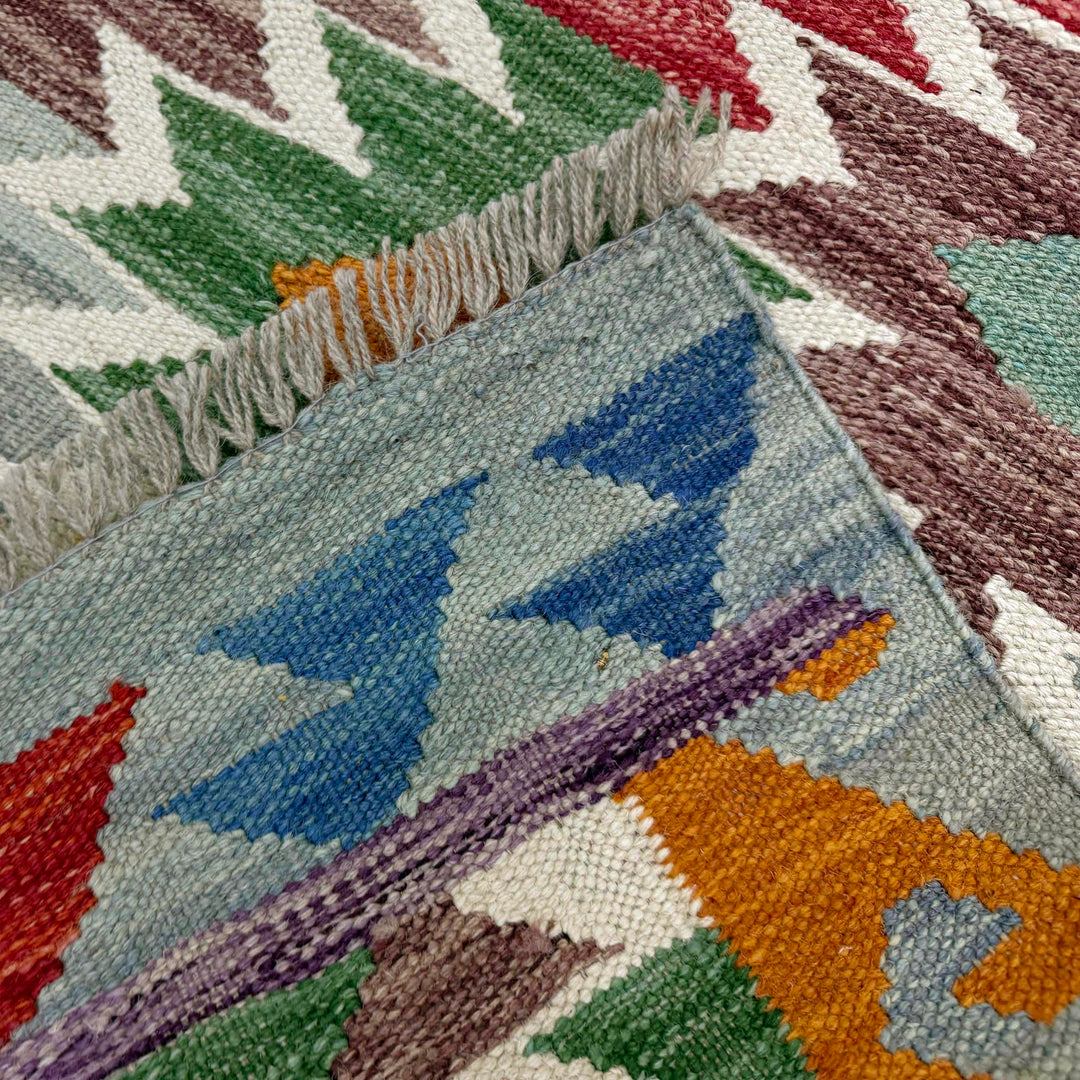 Afghan Vegetable Kilim Rug 2'7" x 4'1" Flat-Weave border