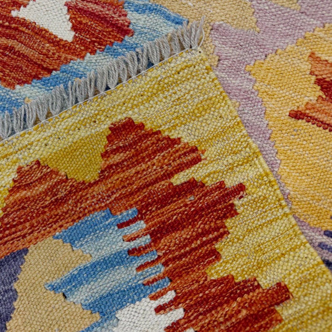 Afghan Vegetable Kilim Rug 2' 10" x 4' 2" Flat-Weave border